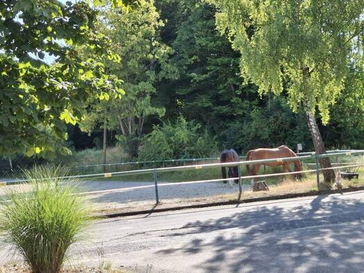 Reiterhof zum Kauf provisionsfrei 798.000 € 200 m² 59.000 m² Grundstück Altenkirchen Altenkirchen (Westerwald) 57610