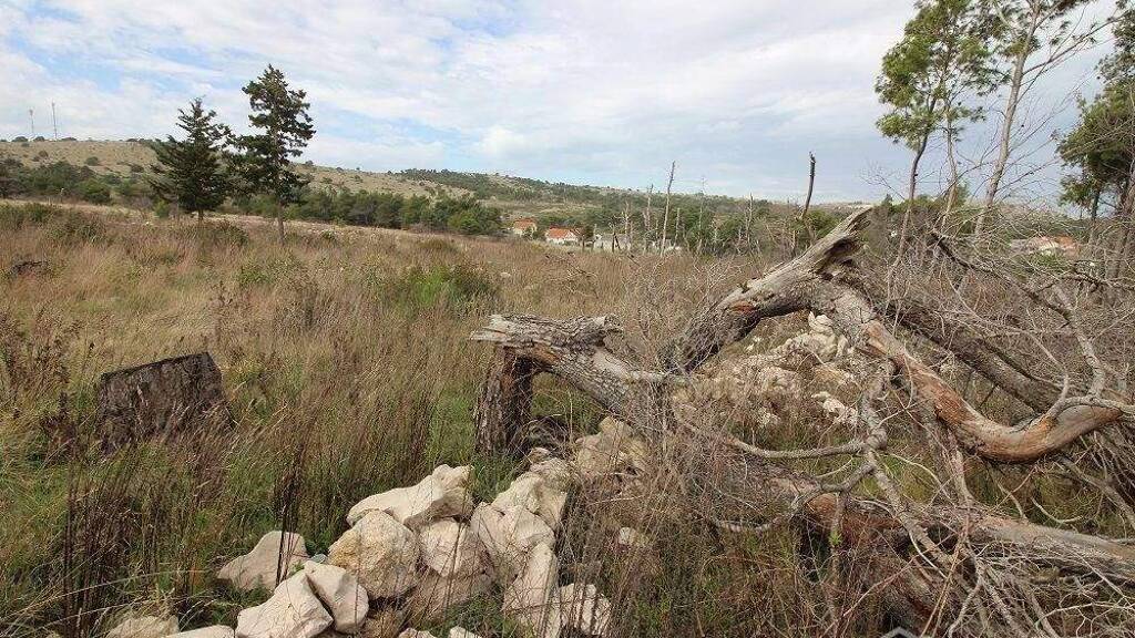 Land-/Forstwirtschaft zum Kauf 109.360 € Vir