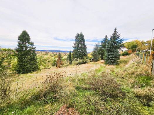 Grundstück zum Kauf 118.000 € 3.100 m² Grundstück frei ab sofort Kloster Bad Salzungen 36433