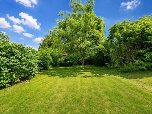 Grundstück zum Kauf 329.000 € 1.046 m² Grundstück Wiesenstraße 8 Nienhagen Nienhagen 29336