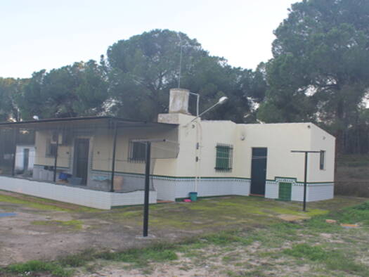 Bauernhaus zum Kauf provisionsfrei 103.000 € 5 Zimmer 120 m² 17.000 m² Grundstück Rociana del Condado 21720