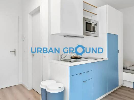 Studio zur Miete 652 € 1 Zimmer 16,9 m² EG frei ab 15.01.2026 Rathenaustraße Oberschöneweide Berlin 12459