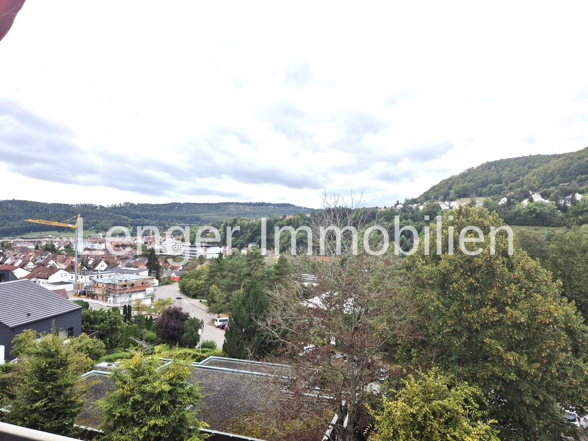 Wohnung zur Miete 750 € 4 Zimmer 102 m²<br/>Wohnfläche 1.<br/>Geschoss Ebingen Albstadt 72458