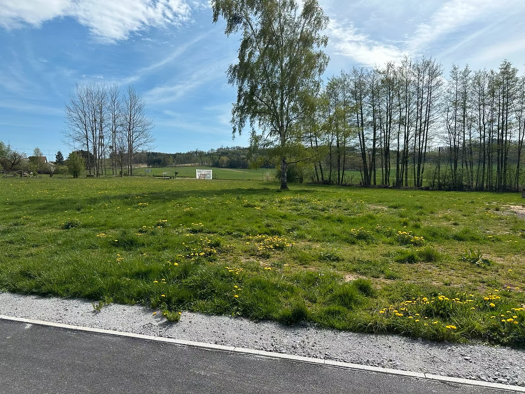 Grundstück zum Kauf 102.000 € 1.200 m² Grundstück Cunewalde 02733