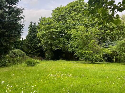 Doppelhaushälfte zum Kauf 109.000 € 3 Zimmer 79 m² 1.202 m² Grundstück frei ab sofort Langenhanshagen Trinwillershagen 18320