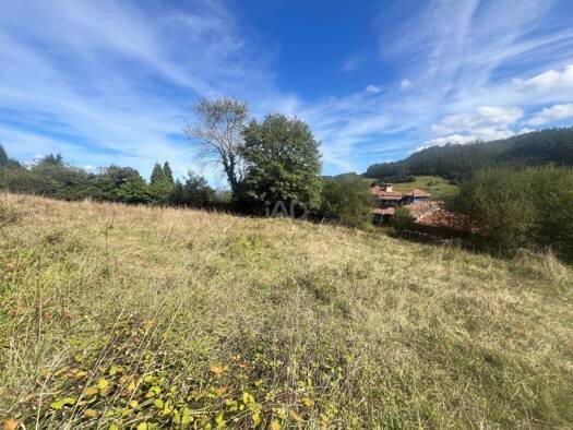 Acker-/Waldstück zum Kauf 39.900 € Castrillón 33456