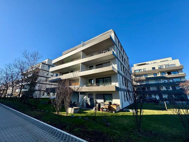 Wohnung zum Kauf 250.000 € 2 Zimmer 67 m² 1. Geschoss Kleinpestitz/Mockritz Ortsamtsbereich Plauen 01189