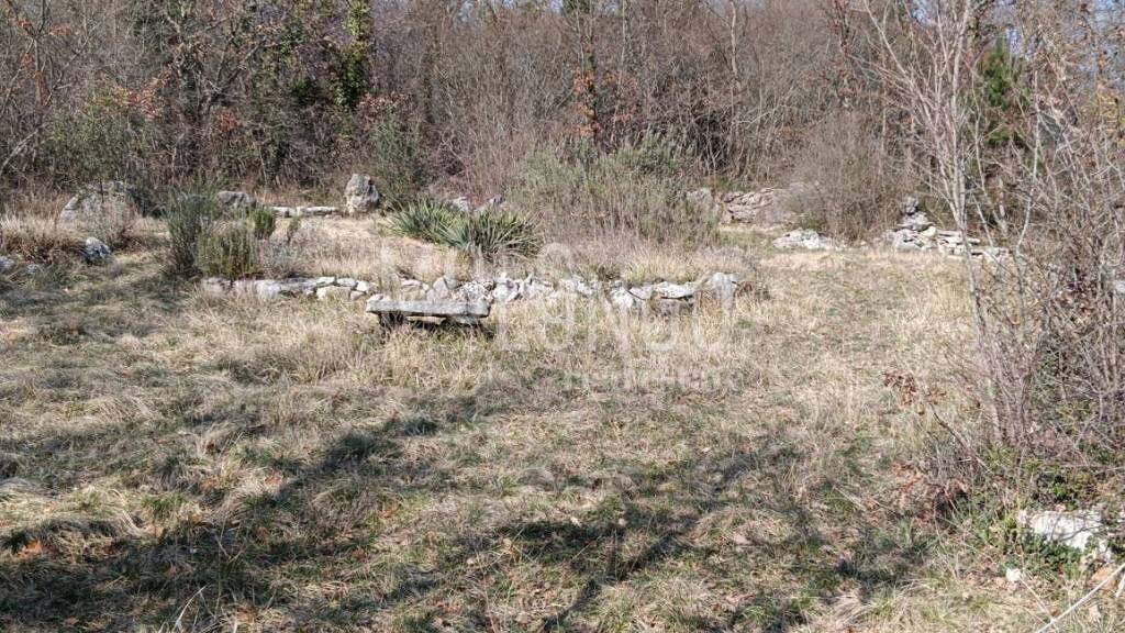 Land-/Forstwirtschaft zum Kauf 42.000 € Novigrad Novigrad