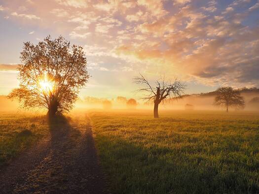 Grundstück zum Kauf 349.000 € 394 m² Grundstück Heppenheim 64646