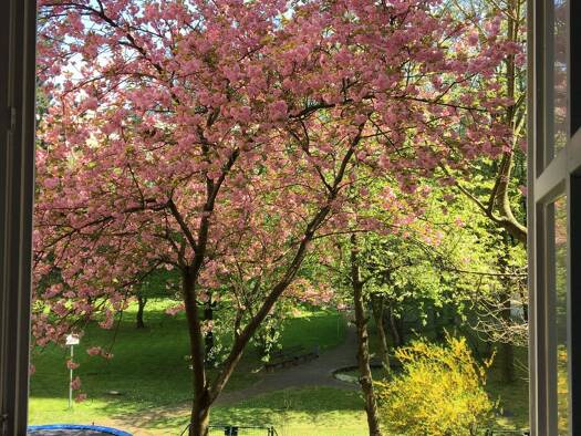 Wohnung zur Miete 1.363 € 3 Zimmer 70 m² Geschoss 1/7 frei ab 16.02.2026 Laim München 80687