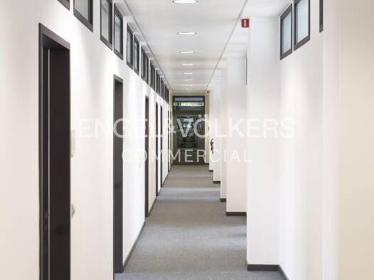 Büro zur Miete 14,50 € 233,3 m² Bürofläche teilbar ab 233,3 m² Tegel Berlin 13507
