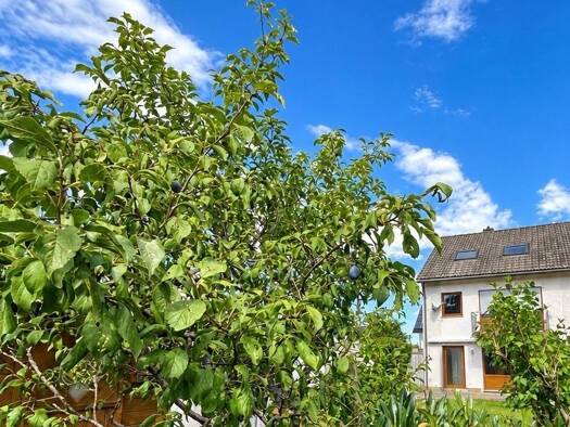 Reihenendhaus zum Kauf 695.000 € 6 Zimmer 135 m² 262 m² Grundstück frei ab sofort Alling Alling 82239