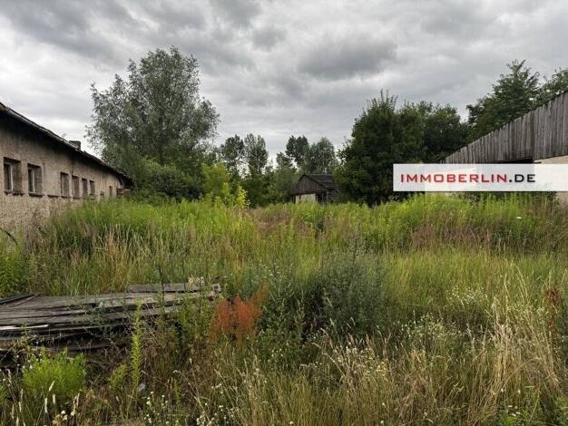 Land-/Forstwirtschaft zum Kauf 160.000 € 53.000 m² Grundstück Neuholland Liebenwalde 16559