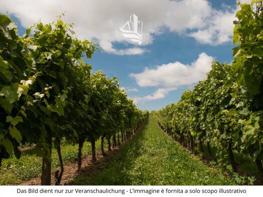 Grundstück zum Kauf 222.222 € 3.000 m² Grundstück Vicolo Josef Braun Tscherms 39010