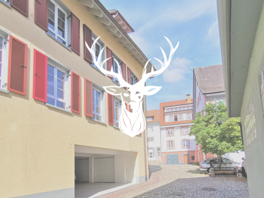 Wohnung zur Miete 1.200 € 3 Zimmer 105 m² frei ab 01.02.2026 Tiengen Waldshut-Tiengen 79761