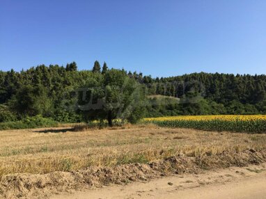 Landwirtschaftliche Fläche zum Kauf 100.000 € Elani