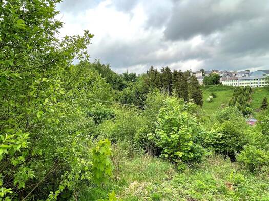 Grundstück zum Kauf 29.000 € 1.069 m² Grundstück Nordhalben 96365