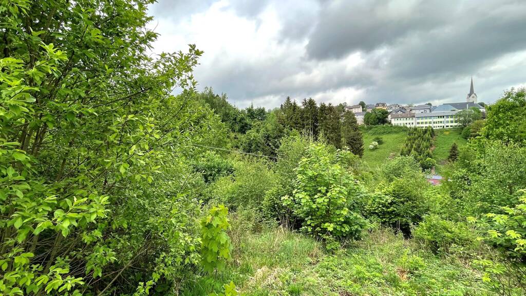 Grundstück zum Kauf 29.000 € 1.069 m² Grundstück Nordhalben 96365