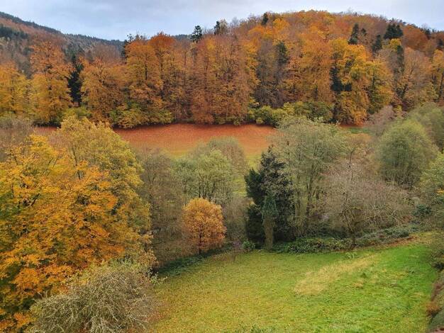 Maisonette zum Kauf provisionsfrei 199.000 € 4 Zimmer 100 m² 2. Geschoss Bad Herrenalb 76332