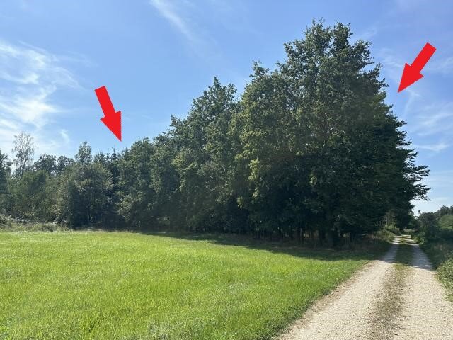 Land-/Forstwirtschaft zum Kauf 6.197 m²<br/>Grundstück Pilling Perkam 94368