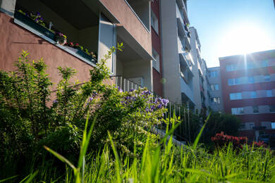 Wohnung zur Miete 340 € 3 Zimmer 57 m² 3. Geschoss frei ab 16.08.2025 Fuhneweg 5 Nördliche Neustadt Halle (Saale) 06122