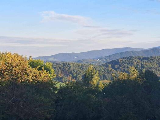 Haus zum Kauf provisionsfrei 1.290.000 € 5 Zimmer 340 m² 20.660 m² Grundstück Mietraching Deggendorf 94469