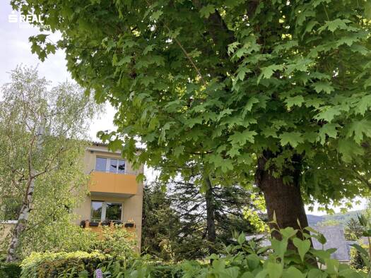 Wohnung zum Kauf 320.000 € 3 Zimmer 79,1 m² 2. Geschoss Hinterbrühl 2371