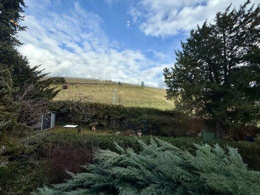 Wohnung zum Kauf 319.000 € 3 Zimmer 76 m² 1. Geschoss Untertürkheim Stuttgart / Untertürkheim 70327