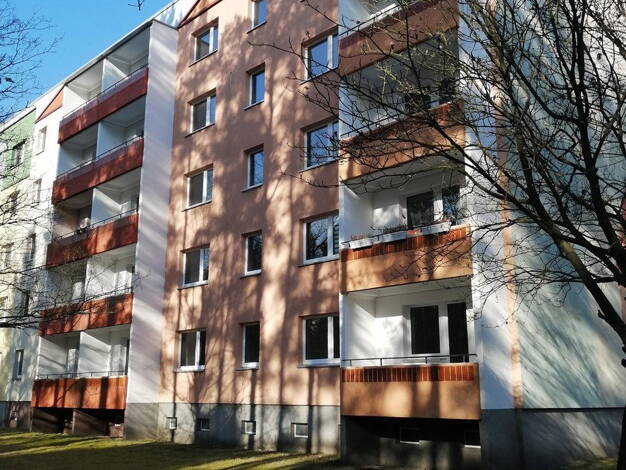 Wohnung zur Miete 528 € 3 Zimmer 66 m² 2. Geschoss Walddrehna Pilzheide 14 Walddrehna Heideblick 15926