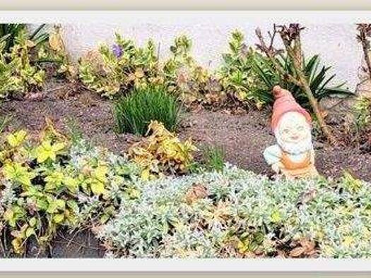 Einfamilienhaus zum Kauf 87.500 € 4 Zimmer 100 m² 540 m² Grundstück frei ab sofort Ebersgrün Pausa-Mühltroff 07952