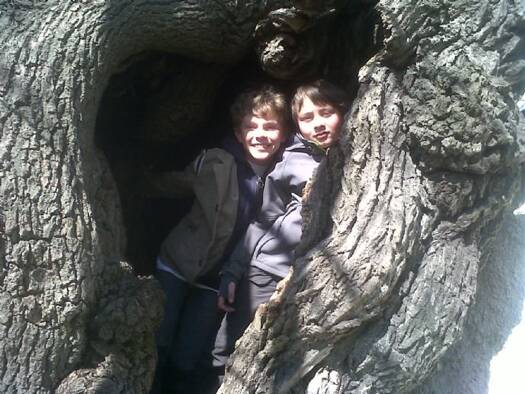 Einfamilienhaus zum Kauf 6 Zimmer 350 m² 500 m² Grundstück Utting 86919