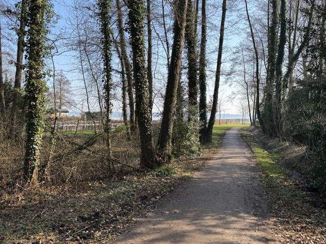 Immobilie in Bad Zwischenahn - Anlageobjekt  -  2 vermietete Eigentumswohnungen in unmittelbarer Nähe des Zwischenahner Meeres - Bild 2