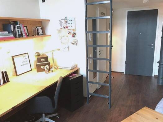 Wohnung zur Miete 510 € 29,1 m² 1. Geschoss Jäckstraße 9 Bamberg 96052