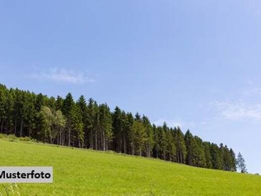 Land-/Forstwirtschaft zum Kauf 72.870 € 12.696,1 m² Grundstück Kukmirn 7543