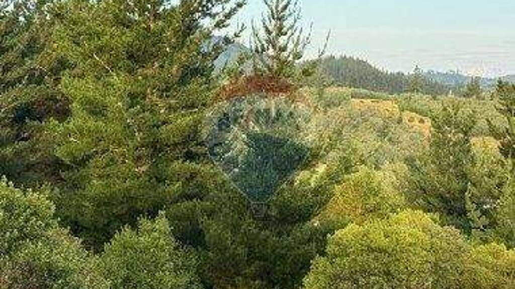 Büro zum Kauf 23.000.000 € Tomeco