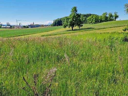 Grundstück zum Kauf 250.000 € 1.000 m² Grundstück Moosdorf 5141