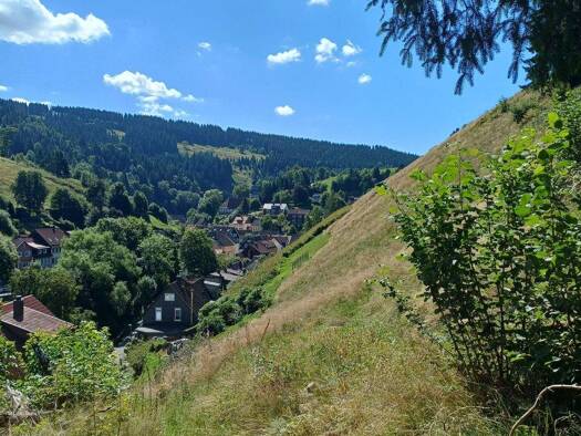 Grundstück zum Kauf provisionsfrei 600 € 627 m² Grundstück Hüttenberg 531 Wildemann 38709