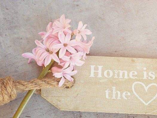 Wohnung zur Miete 490 € 2 Zimmer 51 m² frei ab 01.02.2026 Maria Veen Reken / Maria-Veen 48734