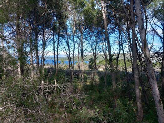 Grundstück zum Kauf 285.000 € 23.748 m² Grundstück Brac