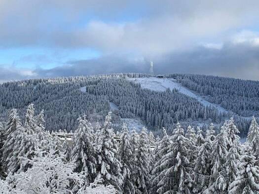 Haus zum Kauf 289.000 € 4 Zimmer 110 m² 1.000 m² Grundstück Langeliethstraße 14 Hahnenklee Goslar 38644