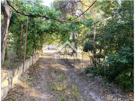 Bauernhaus zum Kauf 104.000 € 2 Zimmer 7.500 m² Ibi 03440