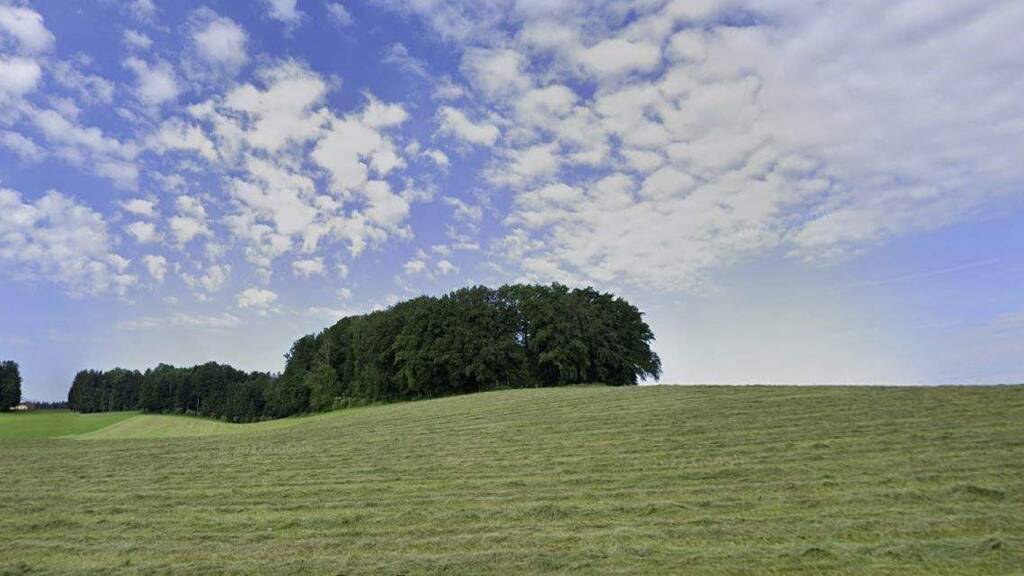 Landwirtschaftliche Fläche zum Kauf 1.090.000 € 61.000 m² 61.000 m² Grundstück Seekirchen am Wallersee 5201