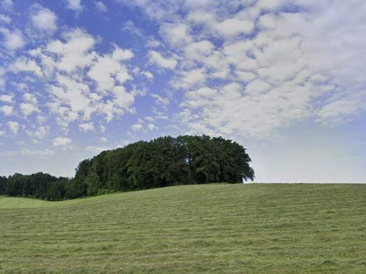 Landwirtschaftliche Fläche zum Kauf 1.090.000 € 61.000 m² 61.000 m² Grundstück Seekirchen am Wallersee 5201