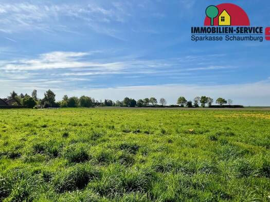 Grundstück zum Kauf provisionsfrei 102.220 € 760 m² Grundstück Wiedensahl 31719