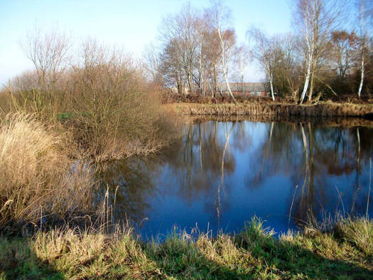 Grundstück zum Kauf 70.000 € 19.665 m² Grundstück Mackendorf Bahrdorf 38459