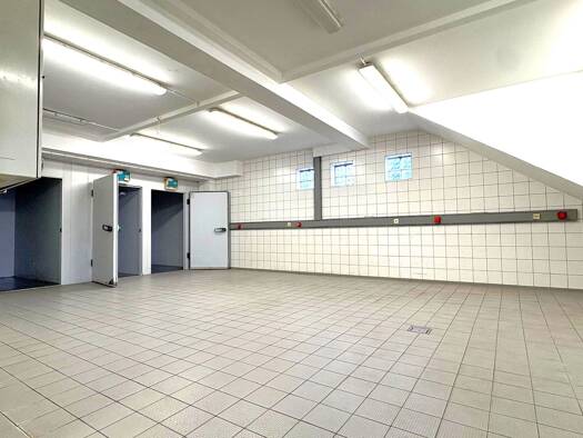 Produktionshalle zur Miete 1.500 € 170 m² Lagerfläche teilbar ab 50 m² Schifferstadt 67105