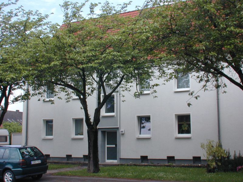 Wohnung zur Miete 503 € 3,5 Zimmer 52,8 m²<br/>Wohnfläche 1.<br/>Geschoss Horster Straße 58 Statistischer Bezirk 61 Hamm 59075