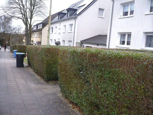 Wohnung zur Miete 450 € 3 Zimmer 49 m² Geschoss 2/2 frei ab 01.01.2026 Freisenbruch Essen 45279