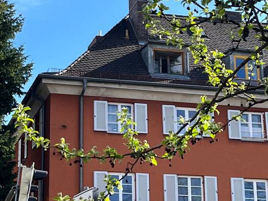 Wohnung zur Miete 850 € 2 Zimmer 65 m² Geschoss 3/4 frei ab sofort Peter u. Paul Landshut 84028