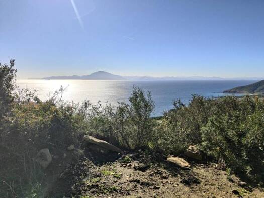 Acker-/Waldstück zum Kauf 130.000 € Algeciras 11207